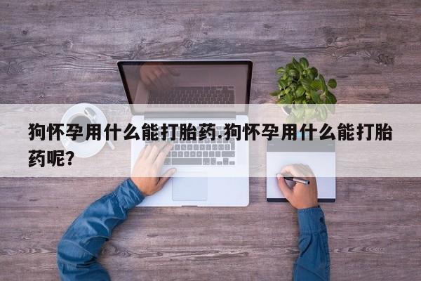 网上卖打胎药的微信号狗怀孕用什么能打胎药.狗怀孕用什么能打胎药呢？