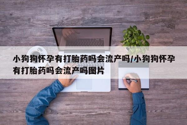 网上卖打胎药的微信号小狗狗怀孕有打胎药吗会流产吗/小狗狗怀孕有打胎药吗会流产吗图片