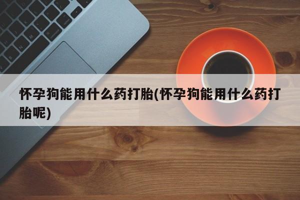 网上卖打胎药的微信号怀孕狗能用什么药打胎(怀孕狗能用什么药打胎呢)